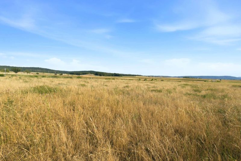 Gro�z�giges Baugrundst�ck mit eigener Zufahrt ? 1.175 m� und bis zu zwei Wohneinheiten /  / 2111&nbsp;Harmannsdorf / Bild 14
